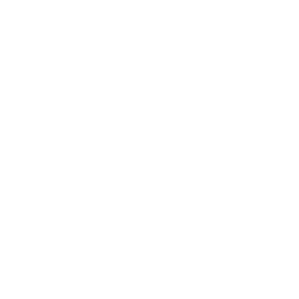 ibug Logo
